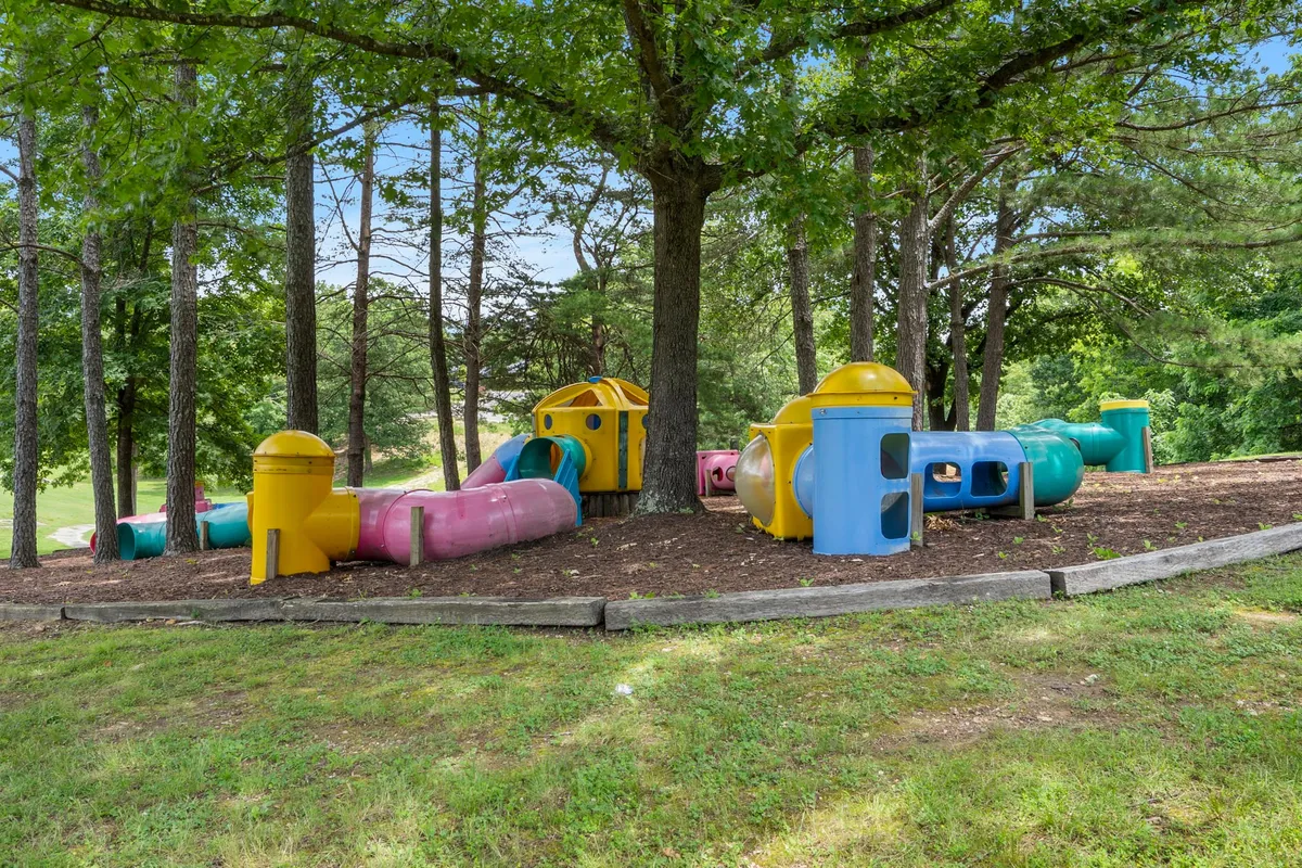 A vibrant, sunlit play area nestled among tall trees, featuring colorful play structures and a wide grassy space where families can gather and children can let their imaginations run wild. Several kids are visible exploring the equipment, while parents or guardians relax in the background.